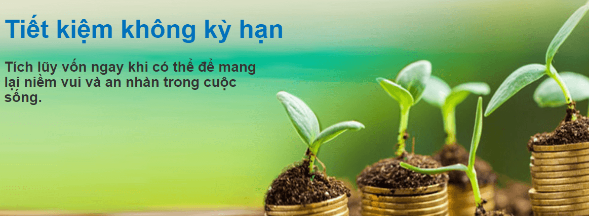 Tiết kiệm không kỳ hạn Ngân hàng Sacombank