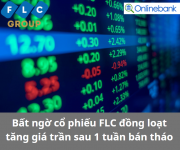 Bất ngờ cổ phiếu FLC đồng loạt tăng giá trần sau 1 tuần bán tháo