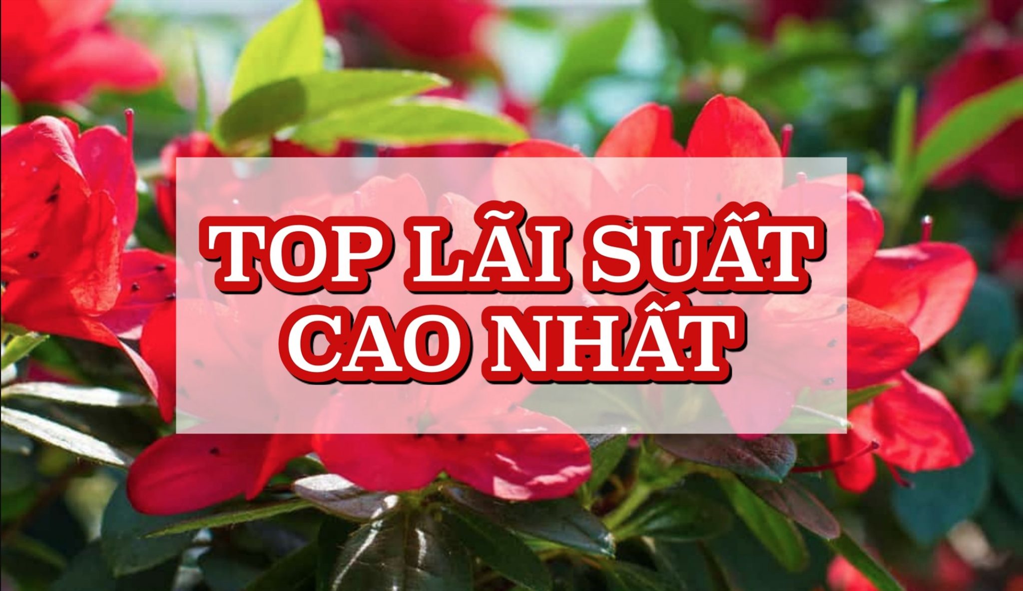 Lãi suất ngân hàng hôm nay 17.4: Ngân hàng lãi tiết kiệm cao nhất 10,15 ...